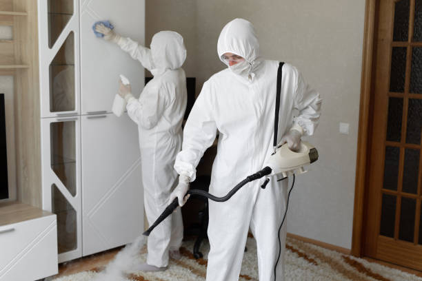Trusted South Jacksonville, IL Mold Removal Experts
