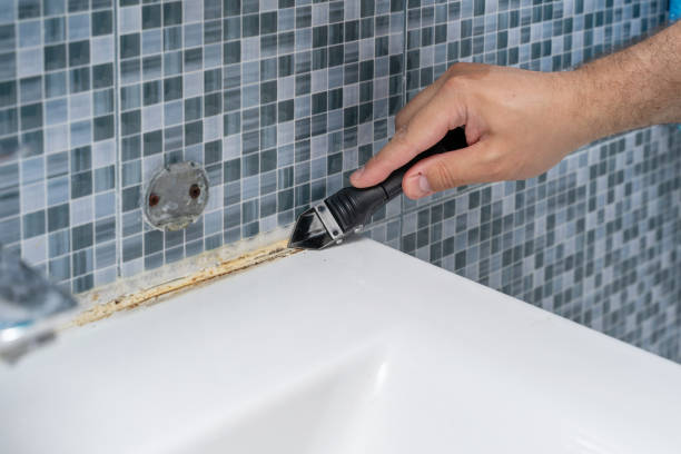 Best Certified Mold Removal  in South Jacksonvle, IL